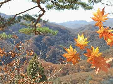 口腔种植国外学习,口腔种植国内外发展现状